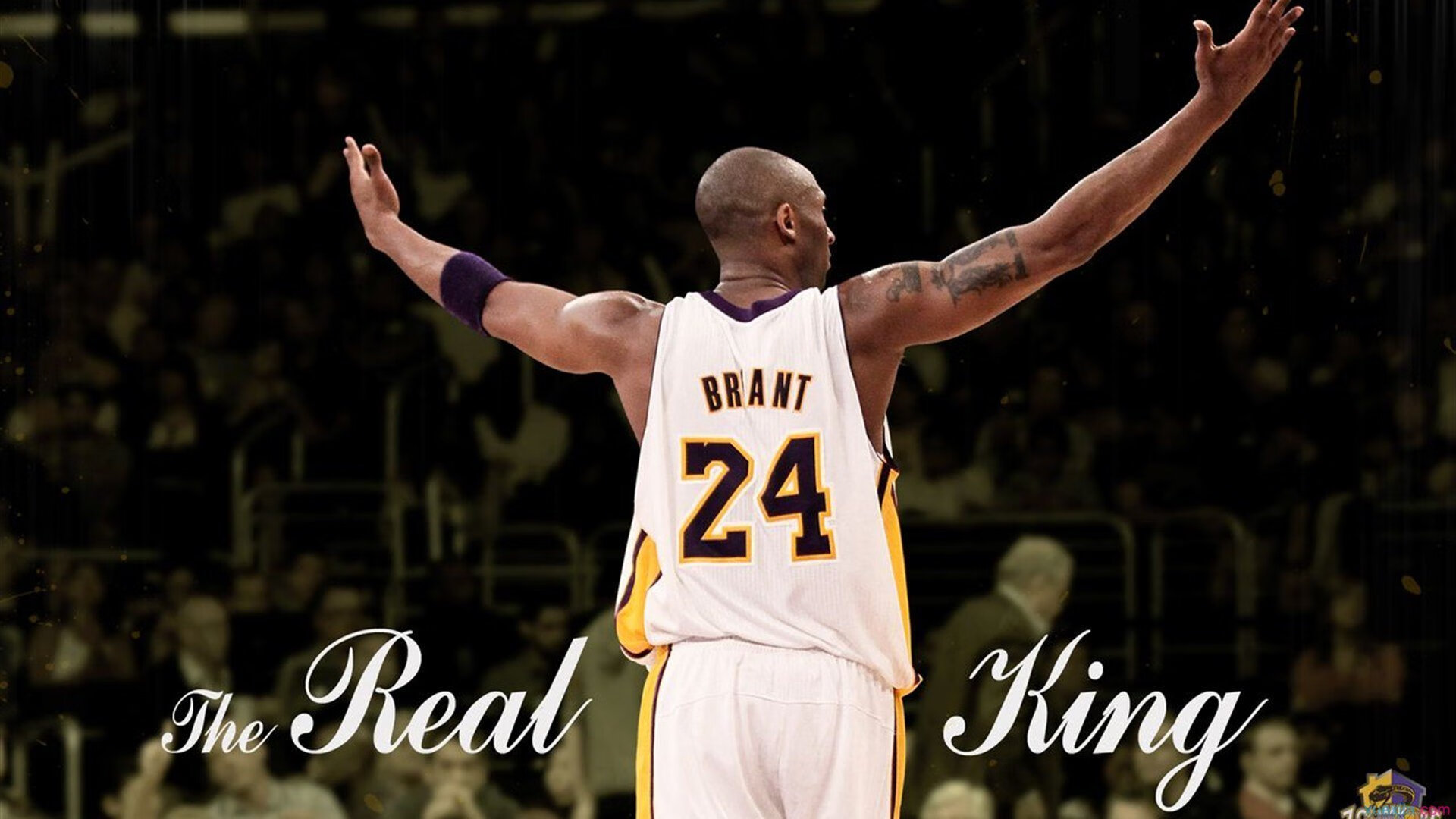 _魔术队球员配合默契,战胜强敌_,魔术队队史最佳阵容